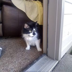 Meet your Posher, Deborah